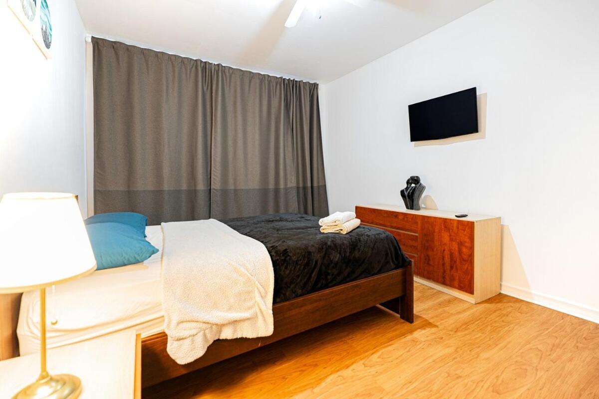 Charmant 1 Bd A Mcgill Parking Gratuit Montreal Zewnętrze zdjęcie